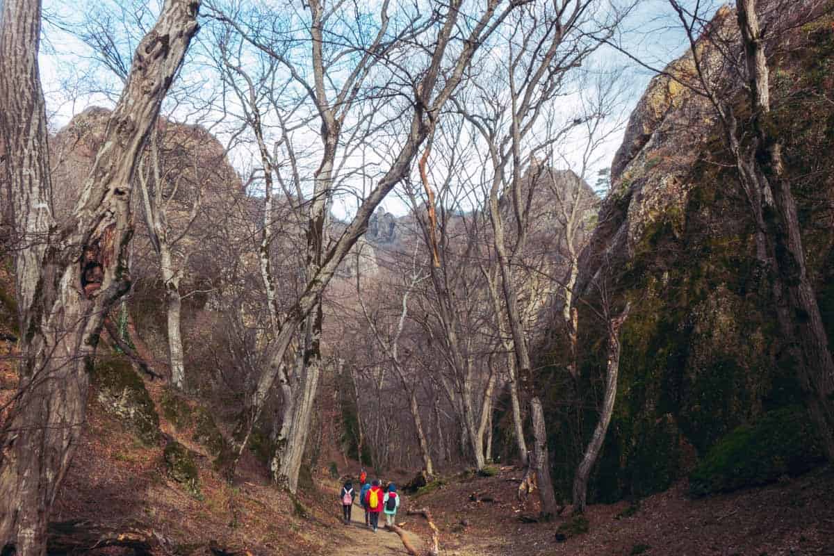 Birtvisi Canyon