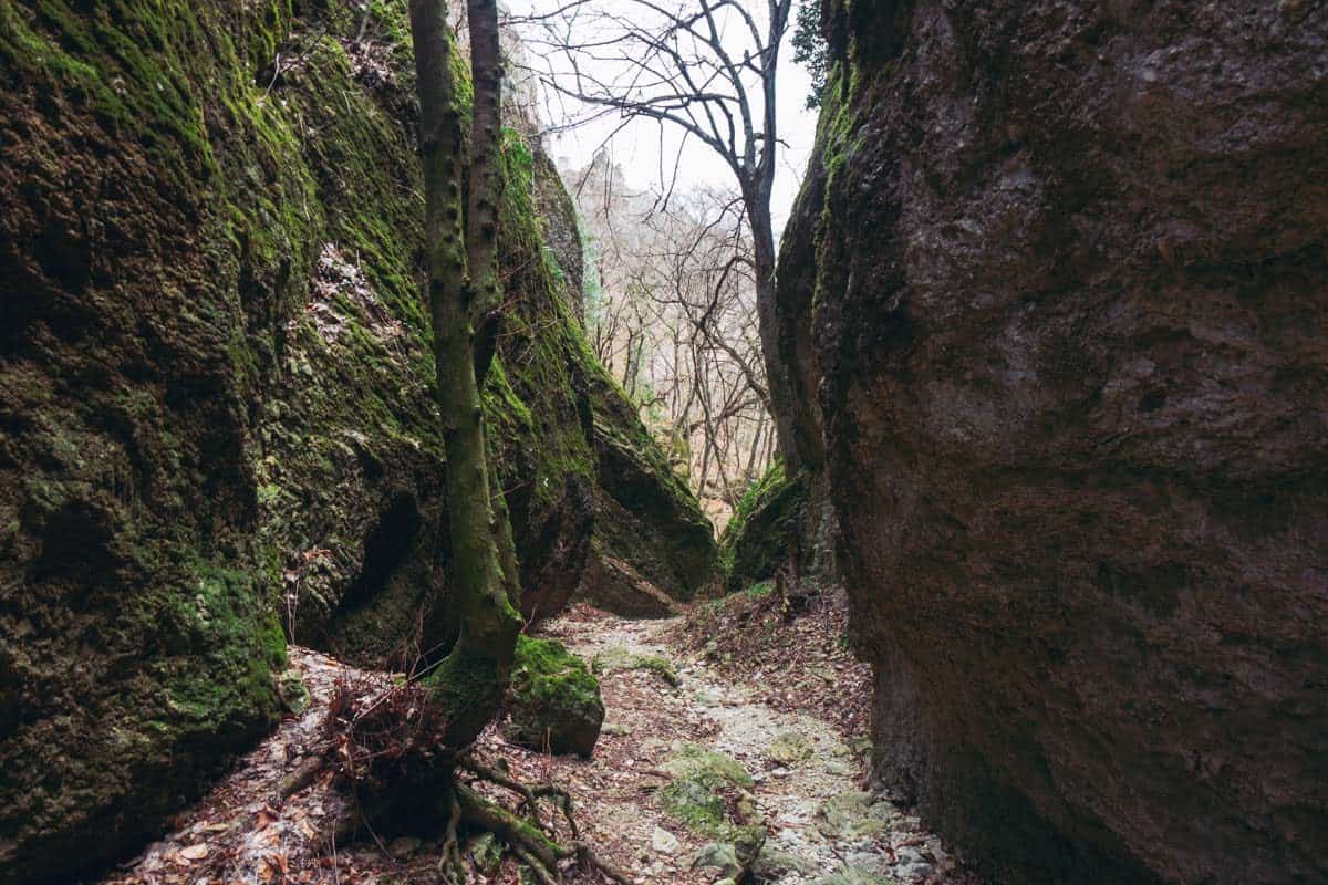 Birtvisi Canyon