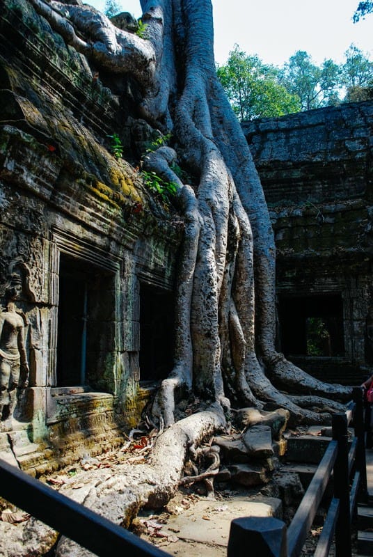 Visiting Angkor Wat - What You Need to Know 17