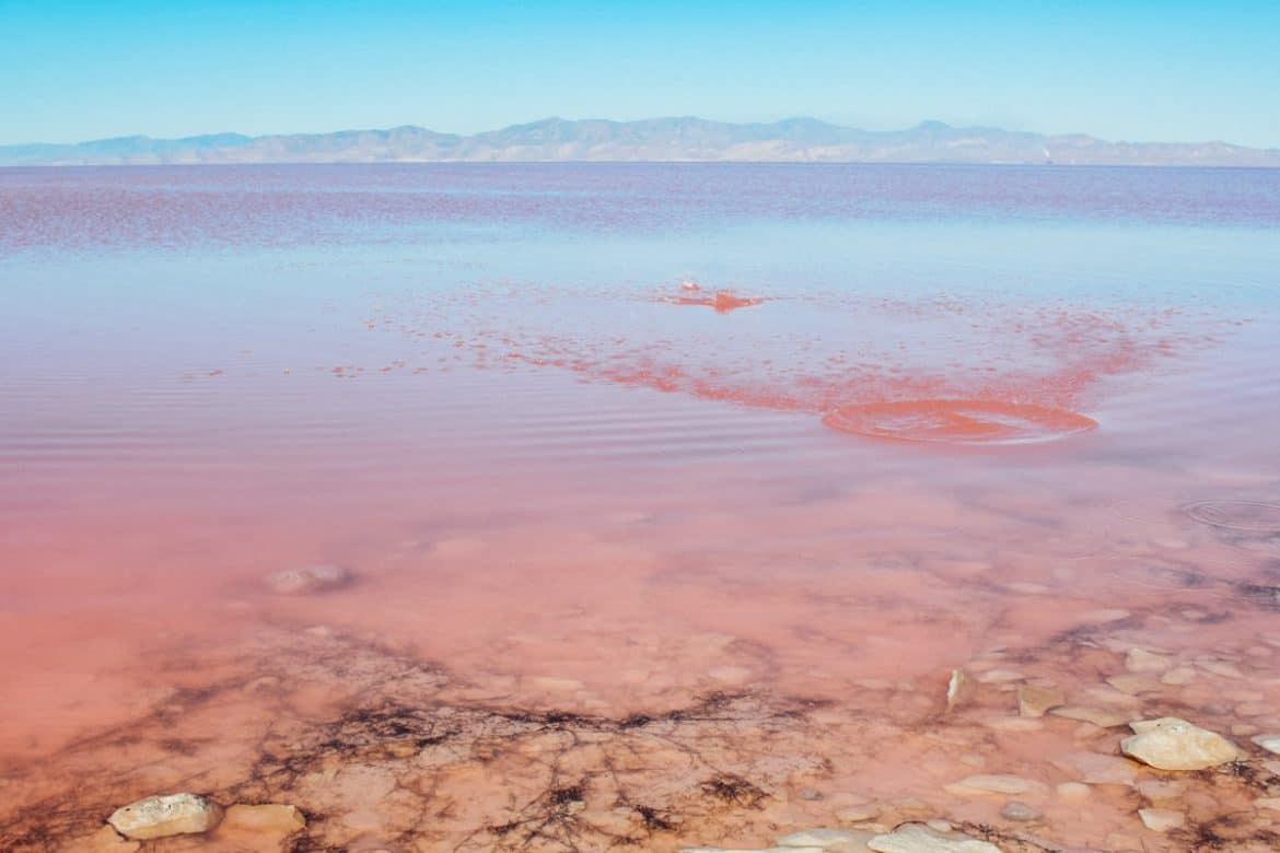 12 Stunning Pink Lakes in the World You Didn’t Know Existed