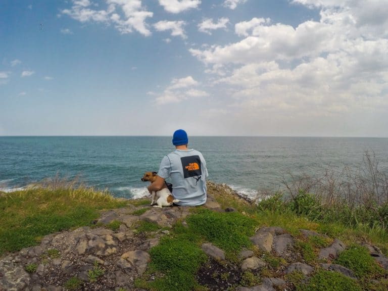 Pet Travel from Georgia: 10 Things You Need to Know 7 Pet Travel from Georgia: 10 Things You Need to Know