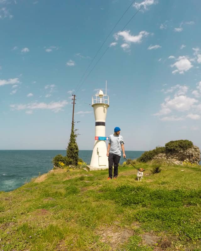 Pet Travel from Georgia: 10 Things You Need to Know 2