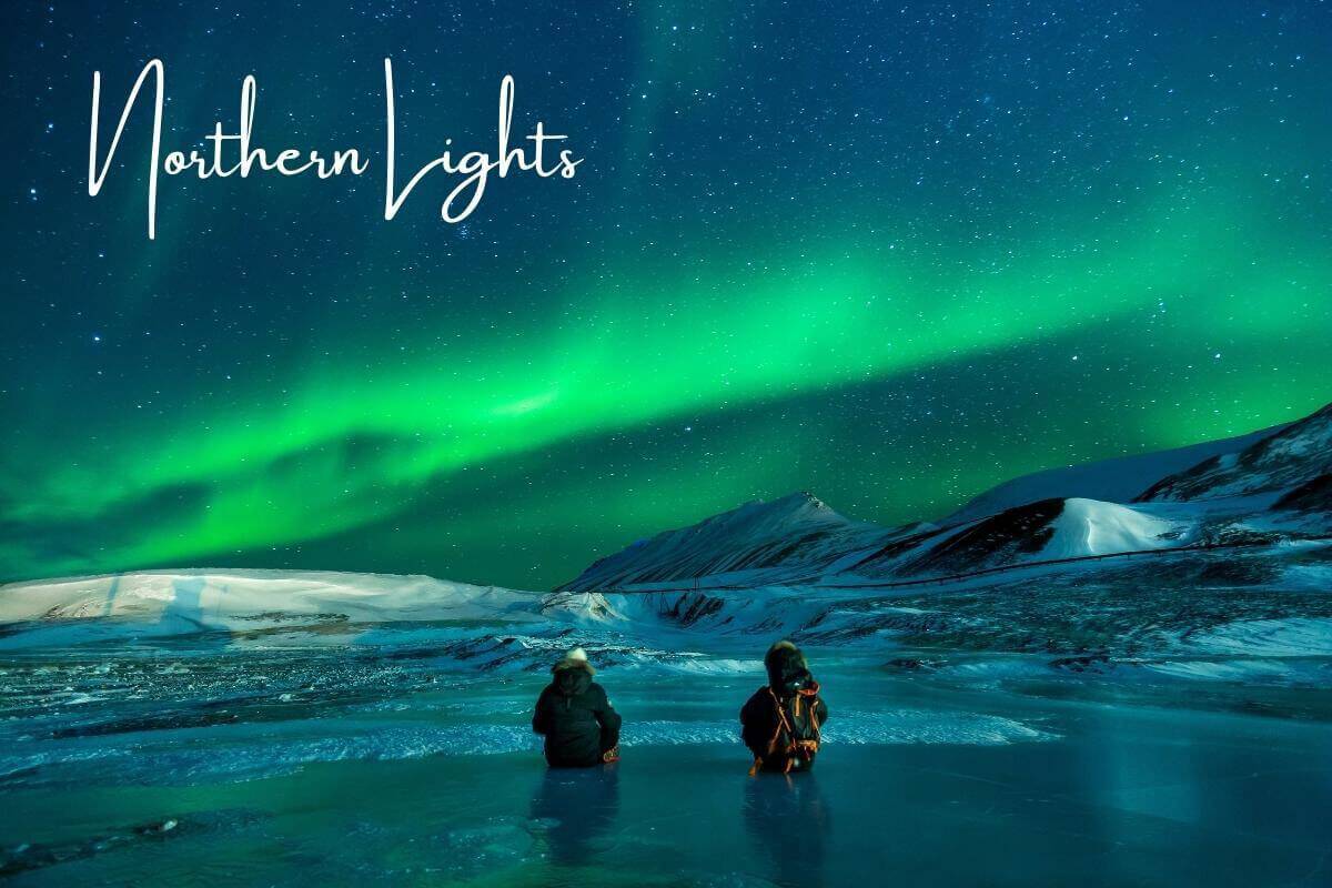 Wildlife in Alaska | Top 10 Natural Places to Set off on Adventure  6 wildlife in alaska