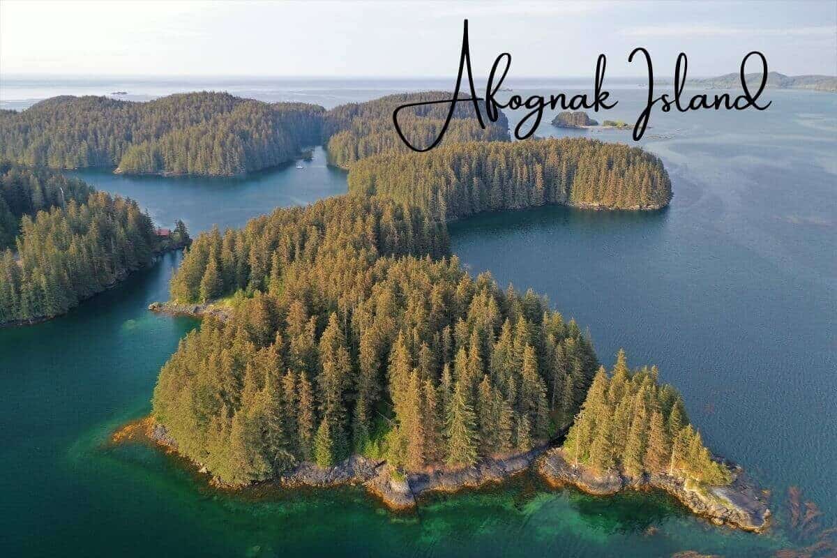 Wildlife in Alaska | Top 10 Natural Places to Set off on Adventure  5 Wildlife in Alaska | Top 10 Natural Places to Set off on Adventure  5