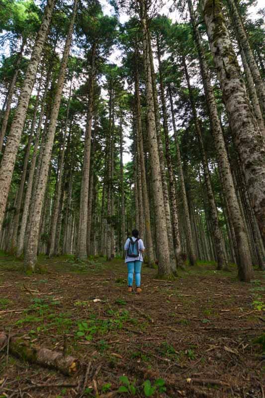 DRiiBE  - Best City Backpack 