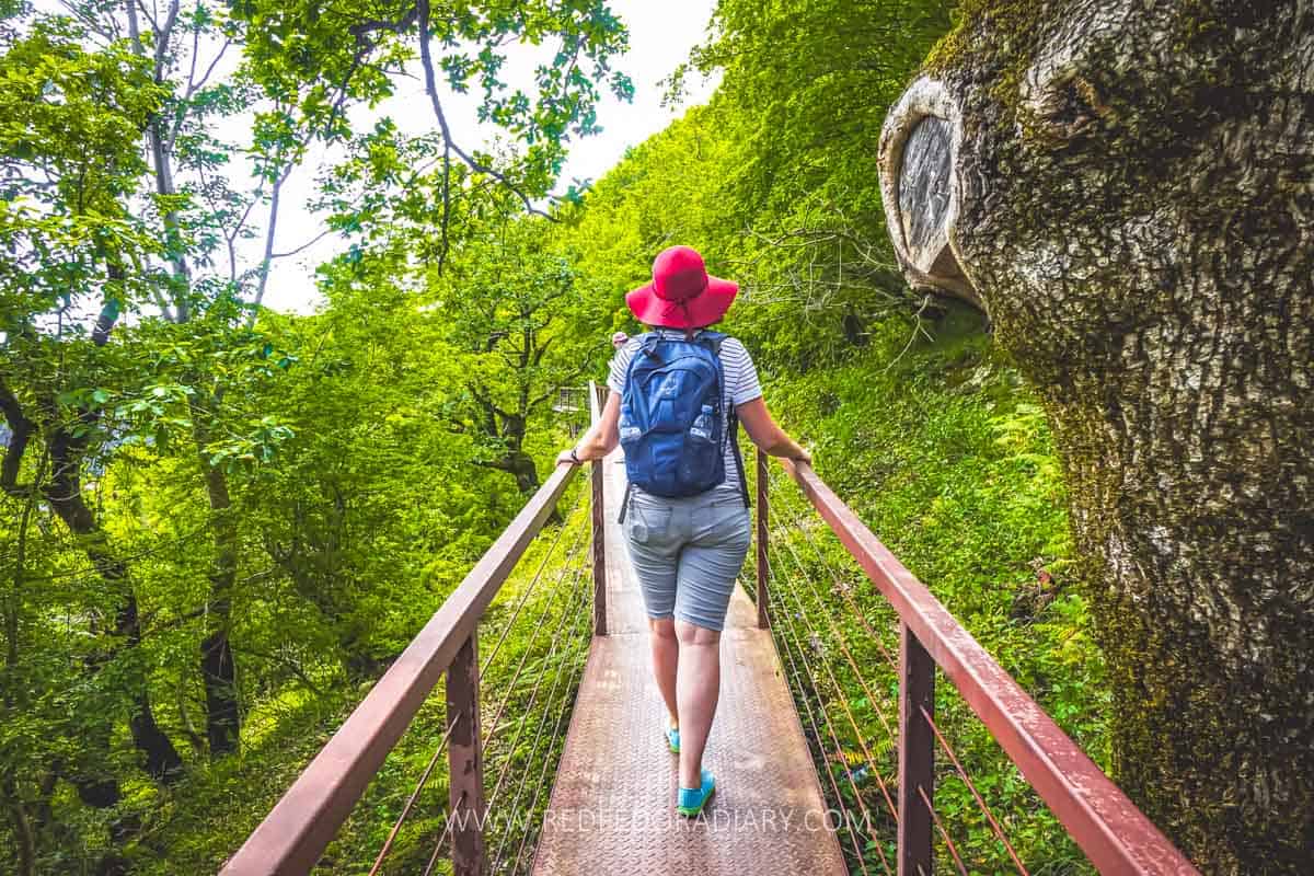 Why Osprey Farpoint 55 is the Best Travel Backpack [Review] 6