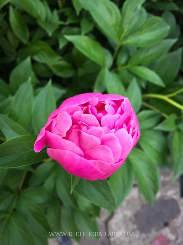 26 Ways to Enjoy Tbilisi in Spring Like a Local in 2025 19 26 Ways to Enjoy Tbilisi in Spring Like a Local in 2025 18
