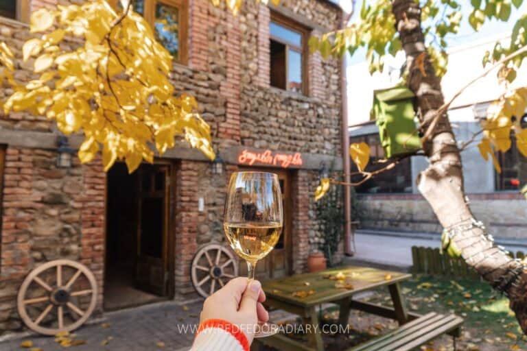 Giuaani Winery in Kakheti: Sip, Savor, and Stay Near Tbilisi