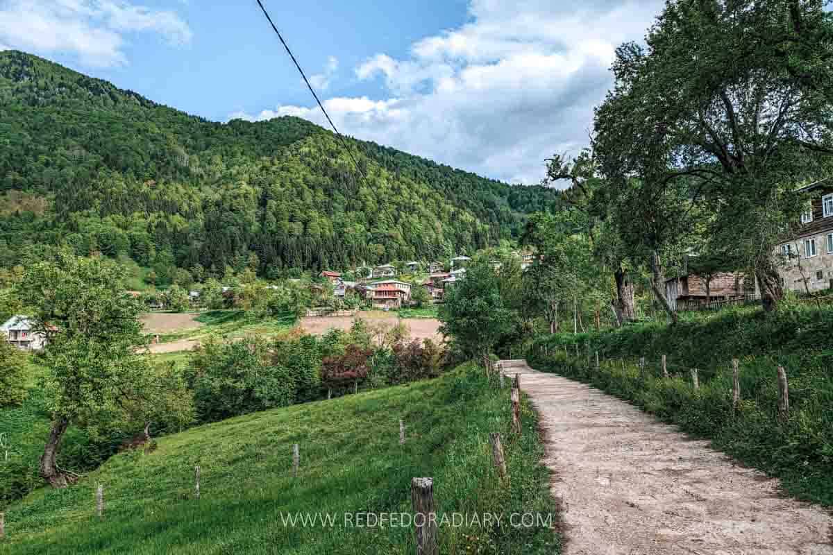 Escape to Glamping Tago: A Tranquil Oasis near Batumi 14