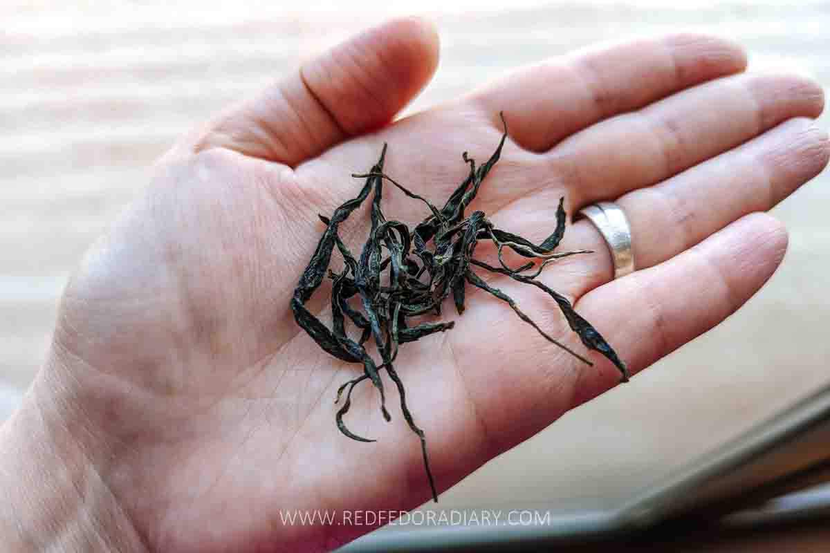 Leaf to Cup: Renegade Tea Estate's Revival of Georgian Tea 6