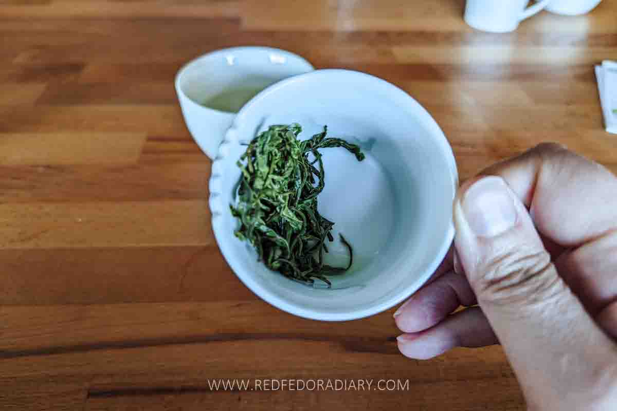 Leaf to Cup: Renegade Tea Estate's Revival of Georgian Tea 9