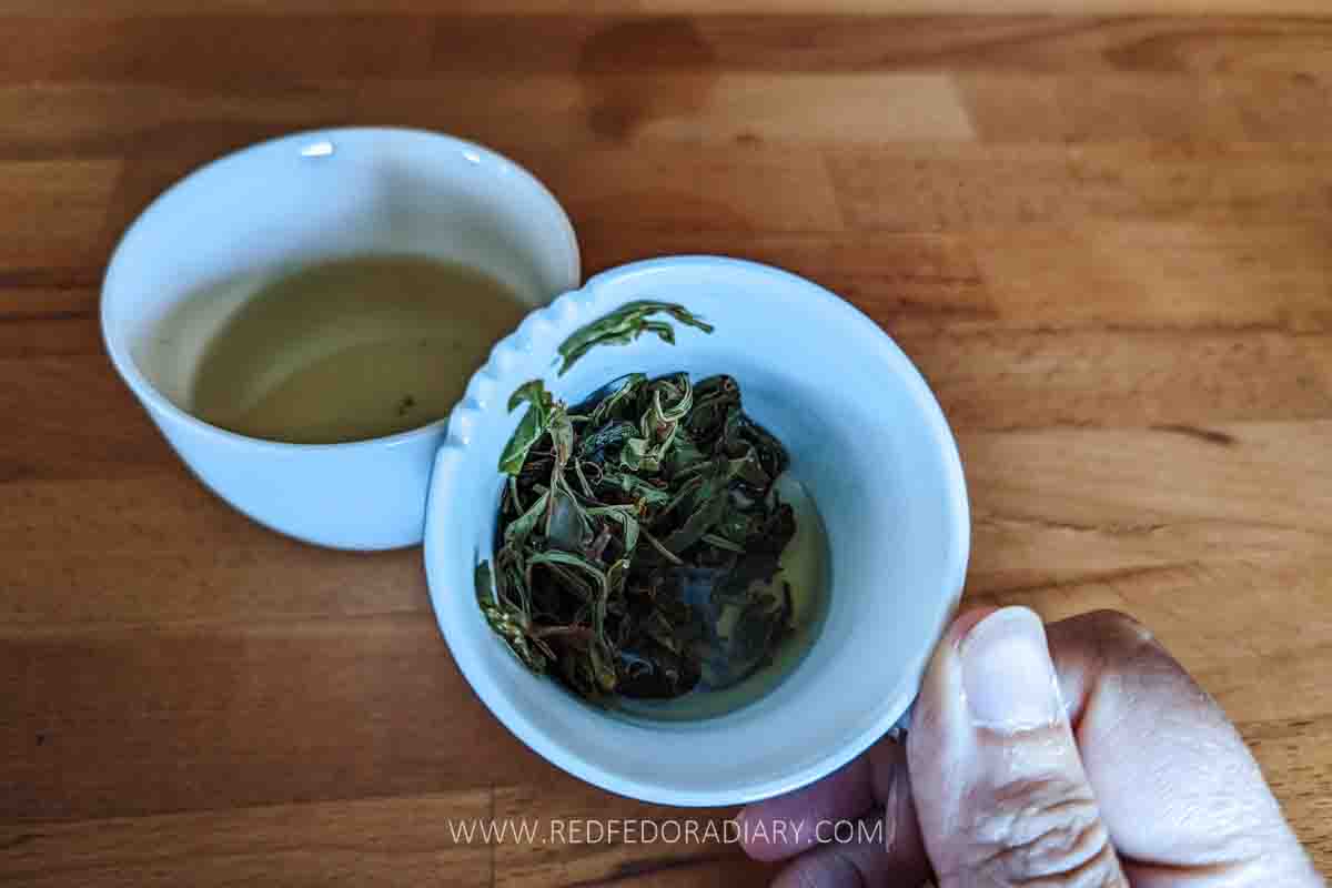 Leaf to Cup: Renegade Tea Estate's Revival of Georgian Tea 11