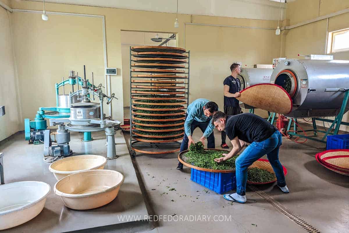 renegade tea estate