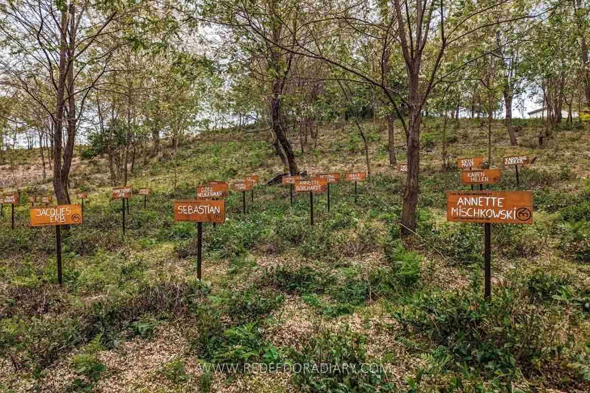 Leaf to Cup: Renegade Tea Estate's Revival of Georgian Tea 7
