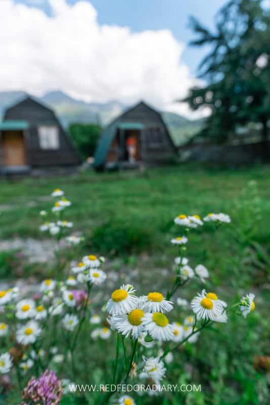 9 Best Things to Do in Mestia | Non-hikers Guide to Svaneti 3 9 Best Things to Do in Mestia | Non-hikers Guide to Svaneti 2