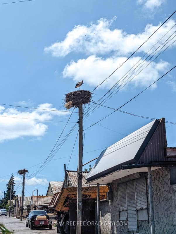 Unveiling 21 Jewels in Samtskhe-Javakheti: Georgia's Partially Undiscovered Region 53 Unveiling 21 Jewels in Samtskhe-Javakheti: Georgia's Partially Undiscovered Region 53