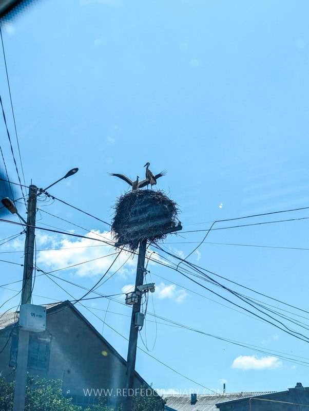 Unveiling 21 Jewels in Samtskhe-Javakheti: Georgia's Partially Undiscovered Region 54 Unveiling 21 Jewels in Samtskhe-Javakheti: Georgia's Partially Undiscovered Region 54