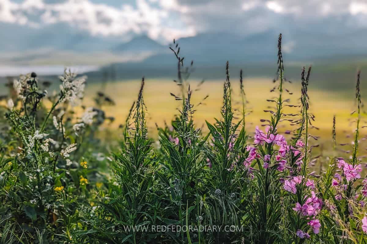 Unveiling 21 Jewels in Samtskhe-Javakheti: Georgia's Partially Undiscovered Region 67 Unveiling 21 Jewels in Samtskhe-Javakheti: Georgia's Partially Undiscovered Region 67