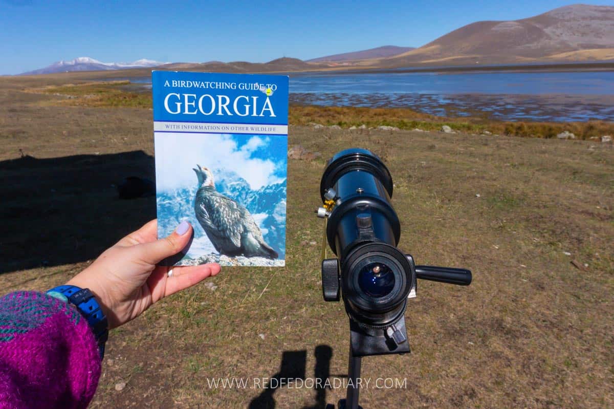 Unveiling 21 Jewels in Samtskhe-Javakheti: Georgia's Partially Undiscovered Region 28 Unveiling 21 Jewels in Samtskhe-Javakheti: Georgia's Partially Undiscovered Region 28