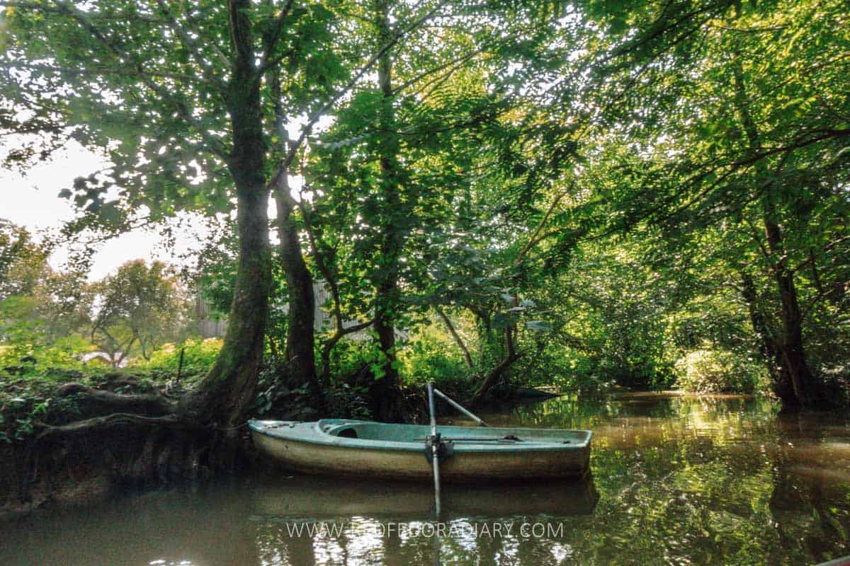 17 Marvelous Things to Do in Poti - Georgia's ‘Little Paris’ 48