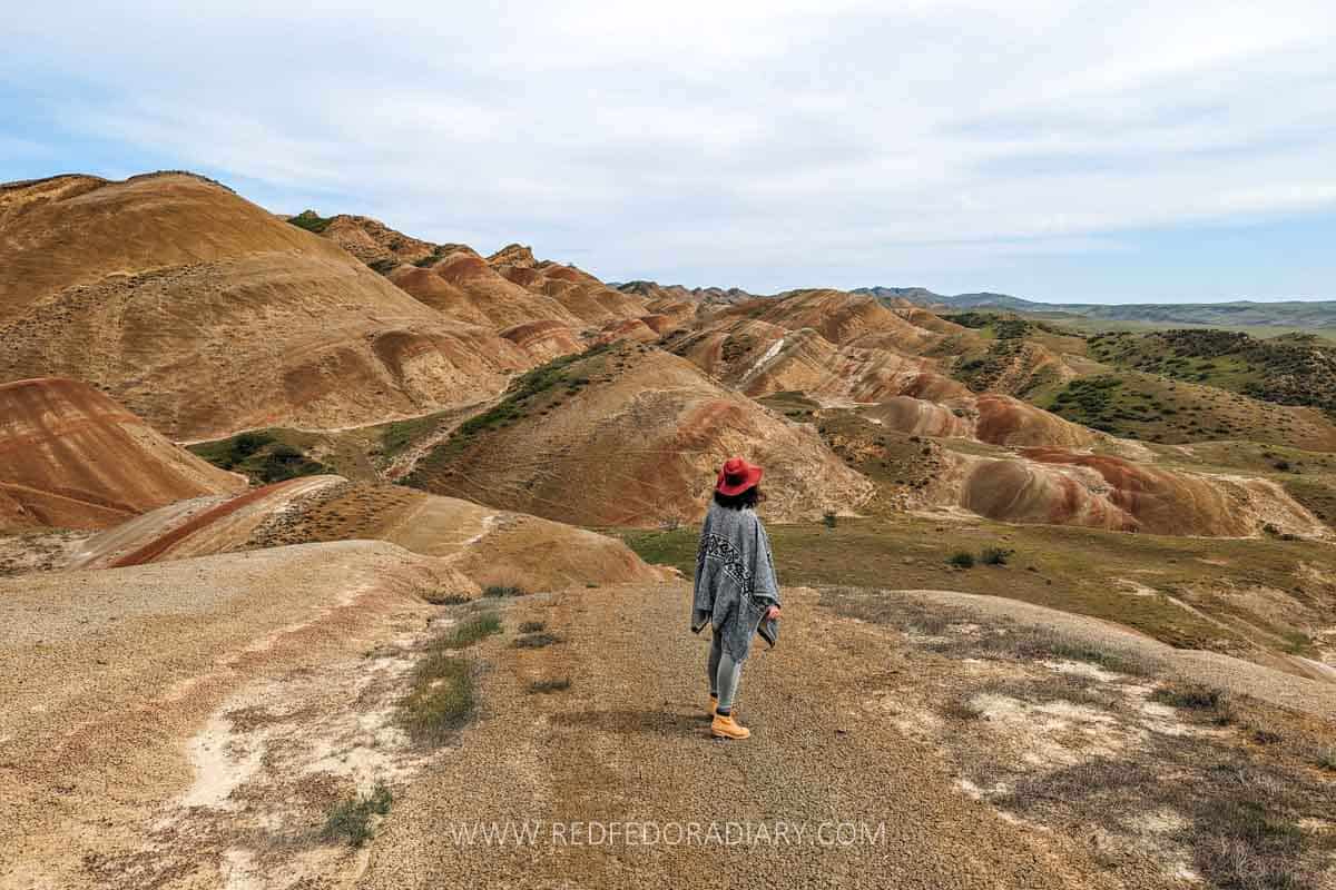 26 Ways to Enjoy Tbilisi in Spring Like a Local in 2025 79 26 Ways to Enjoy Tbilisi in Spring Like a Local in 2025 77