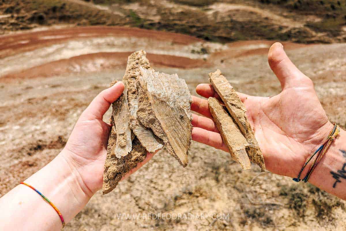 How to Visit Rainbow Mountains Near Tbilisi 2 How to Visit Rainbow Mountains Near Tbilisi 2