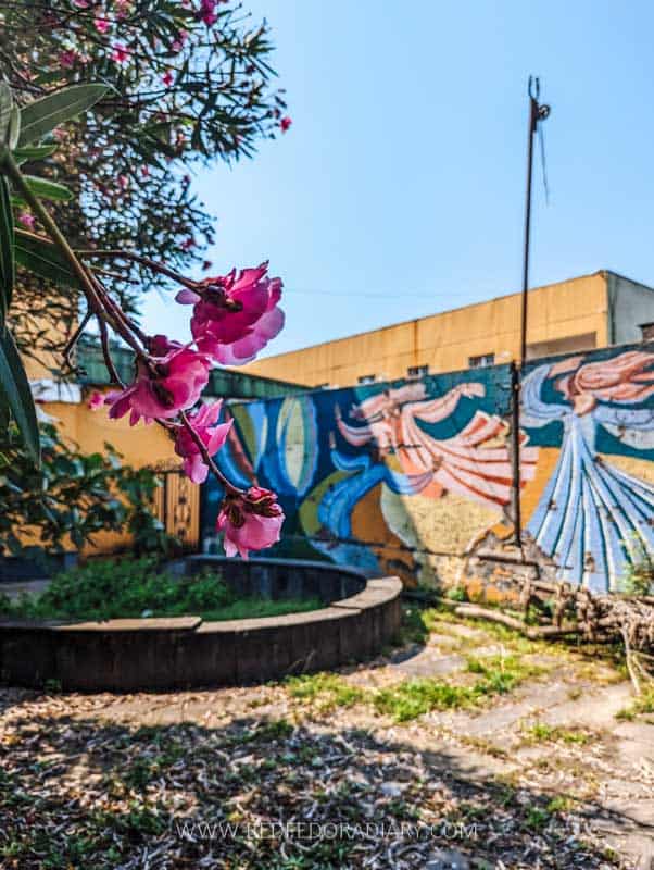 17 Marvelous Things to Do in Poti - Georgia's ‘Little Paris’ 40