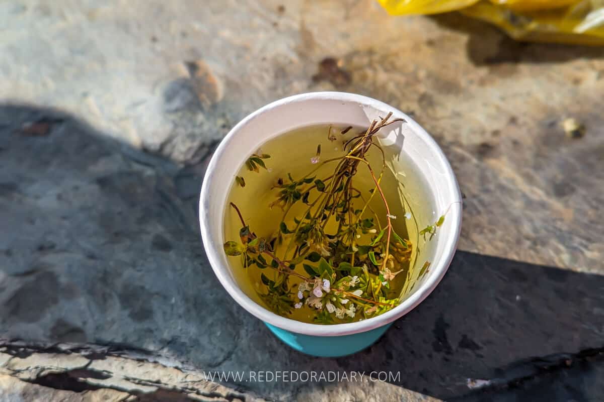 Tushetian Cuisine: 7 Traditional Foods & Drinks to Discover 5