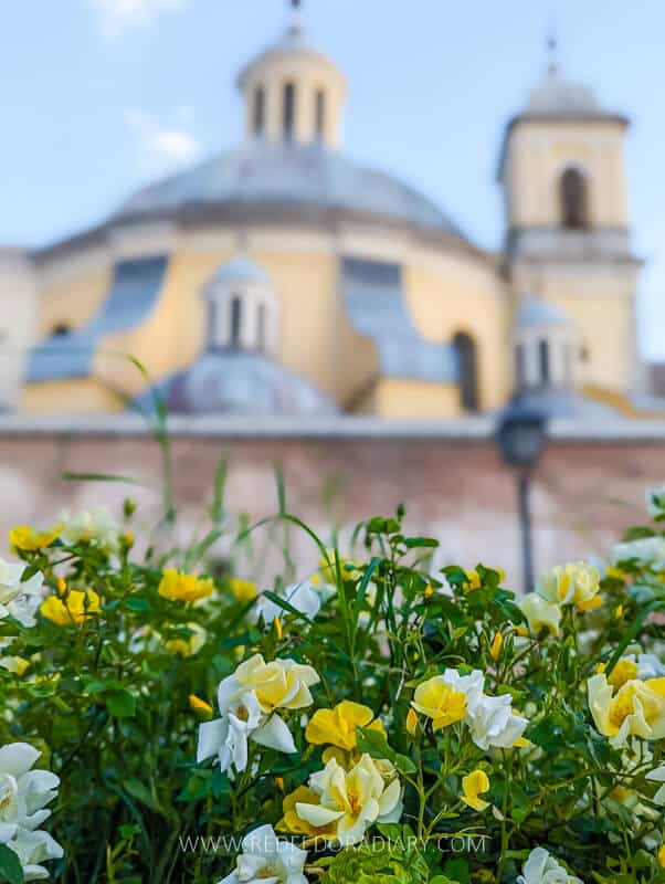 Ultimate Itinerary for Madrid 2025: Ideal 2-5 Days in Madrid 59 Ultimate Itinerary for Madrid 2025: Ideal 2-5 Days in Madrid 57