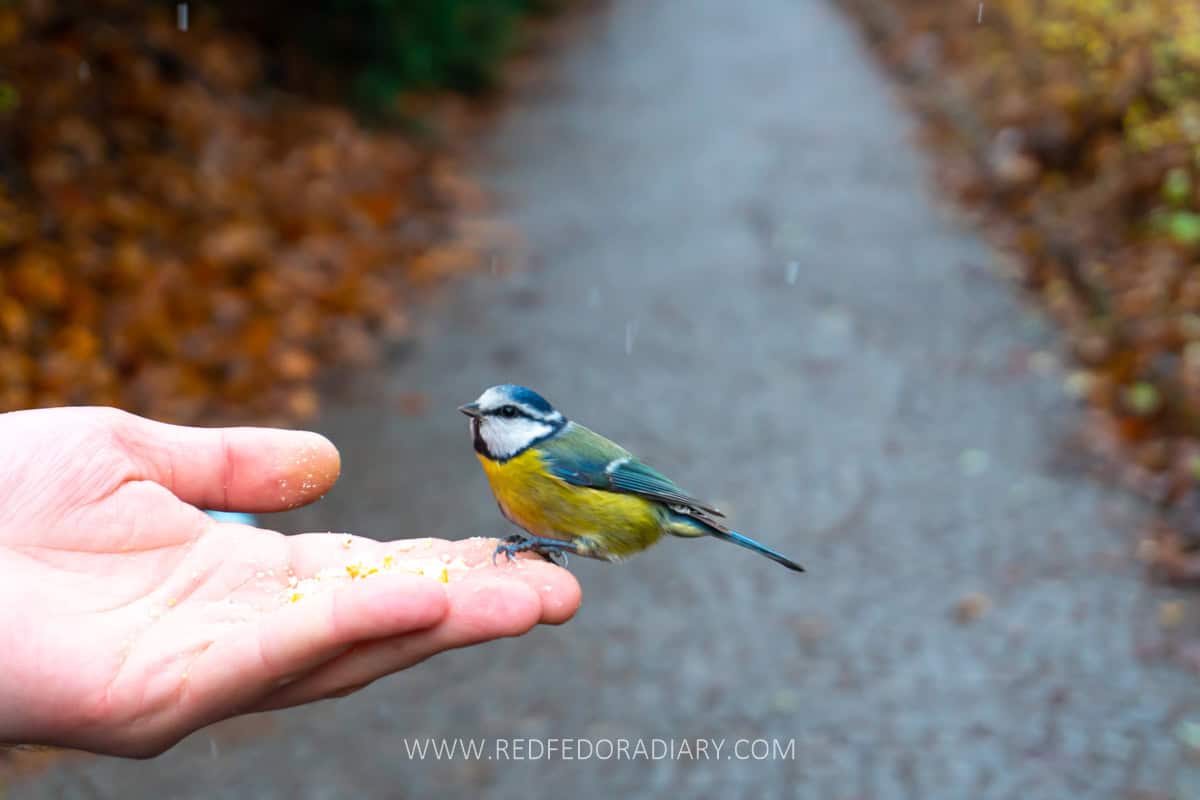 Warsaw in Winter: 20 Amazing Things to Do (2026 Update) 13 Warsaw in Winter: 20 Amazing Things to Do (2026 Update) 10