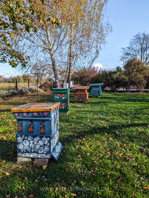 Visit Zalipie from Krakow - Most Beautiful Polish Village 10 Visit Zalipie from Krakow - Most Beautiful Polish Village 10