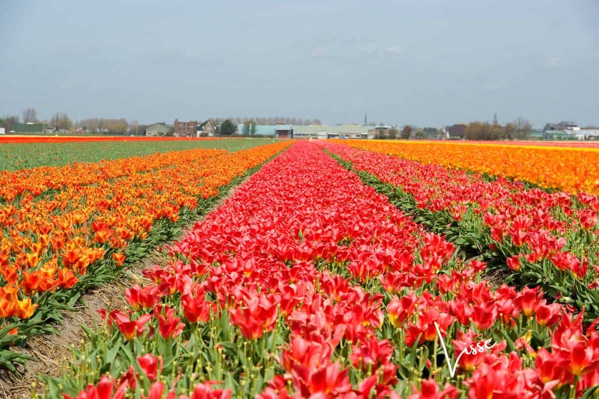 11 Most Beautiful Villages in Netherlands to Visit 5 11 Most Beautiful Villages in Netherlands to Visit 5