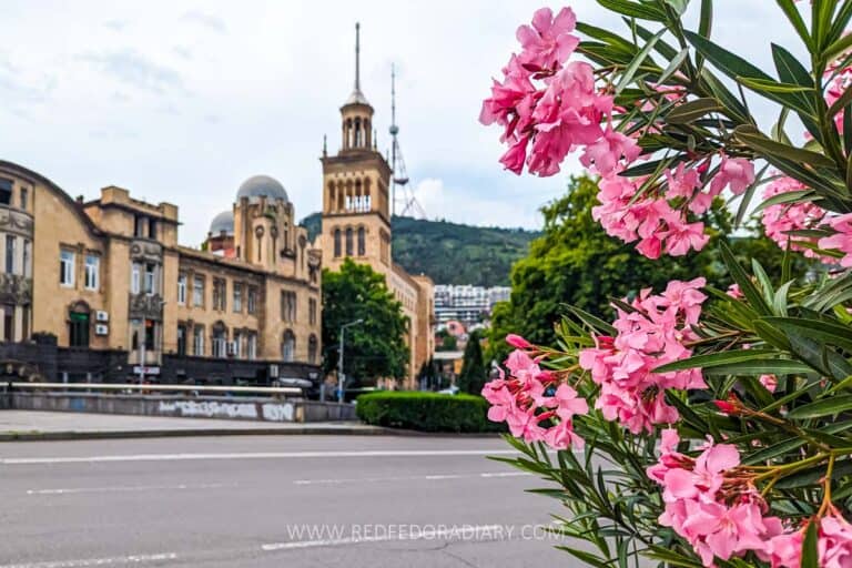 Where to Stay in Tbilisi 2025 – Best Hotels & Neighborhoods