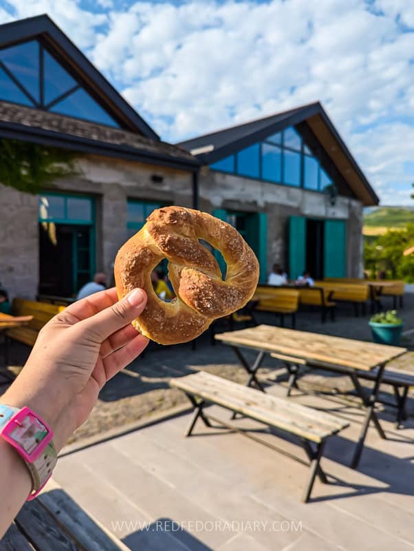 Kojori to Asureti Hike: Walk to Georgia's German Settlement 19