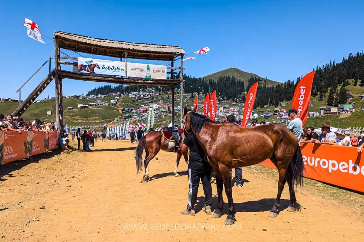 Bakhmaro Horse Race: 16 Tips for First-Time Attendees 2