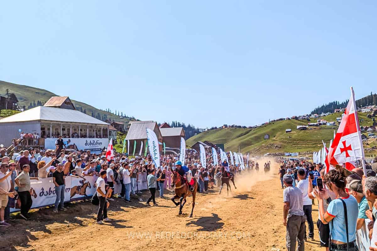 bakhmaro horse race