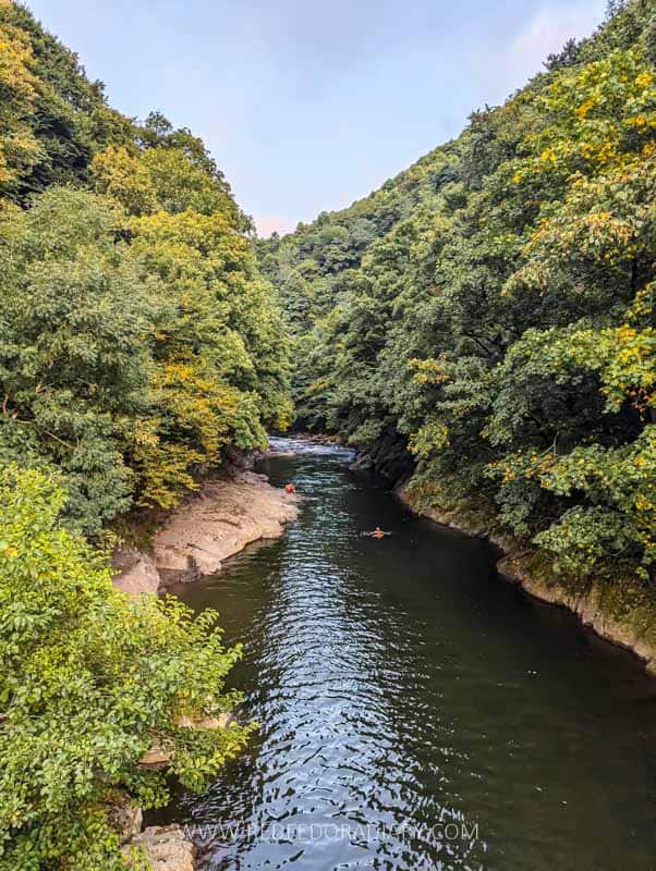 15 Things to Do in Chokhatauri - Guria's Offbeat Corner 15 15 Things to Do in Chokhatauri - Guria's Offbeat Corner 14