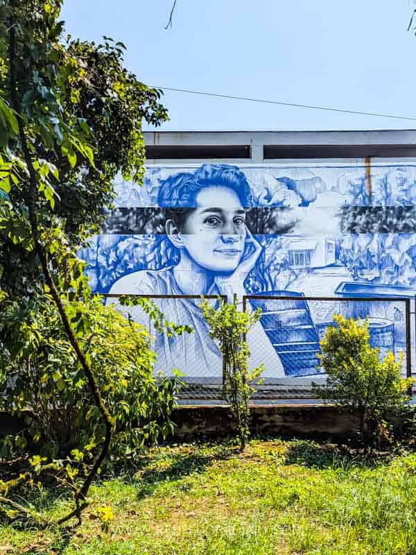 18 Things to Do in Ozurgeti - Explore Guria’s Capital 17 18 Things to Do in Ozurgeti - Explore Guria’s Capital 16