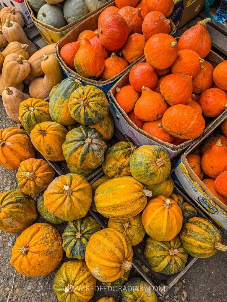 20 Fun Things to Do in Autumn in Tbilisi for 2025 + Tips 29 20 Fun Things to Do in Autumn in Tbilisi for 2025 + Tips 25
