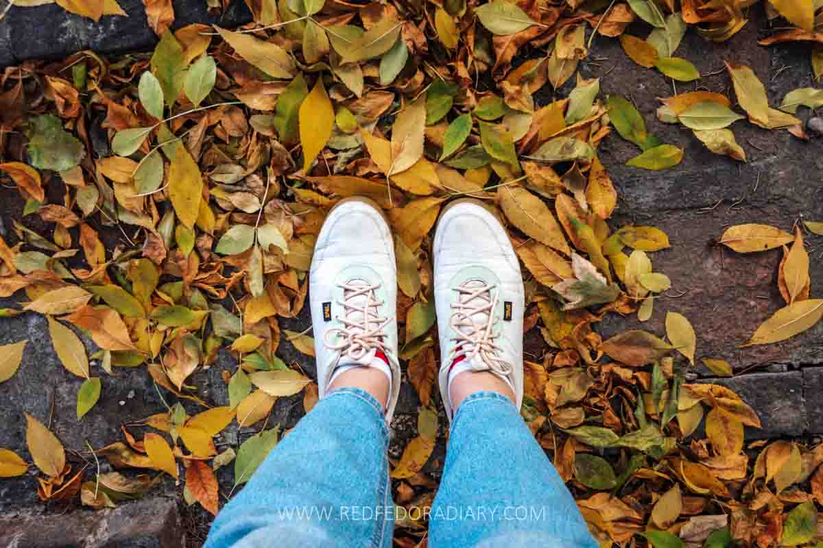20 Fun Things to Do in Autumn in Tbilisi for 2025 + Tips 3 autumn in tbilisi
