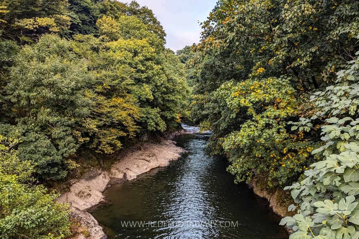 15 Things to Do in Guria - Ultimate Regional Guide 4