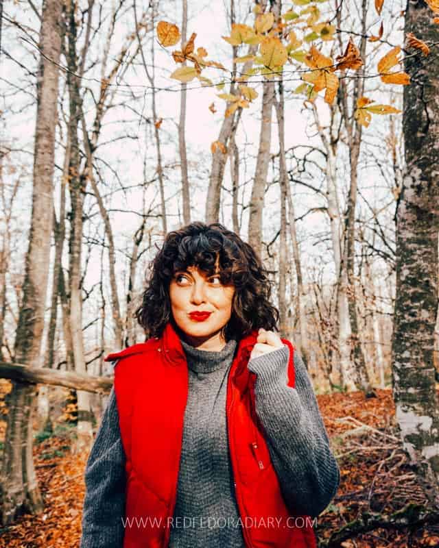20 Fun Things to Do in Autumn in Tbilisi for 2025 + Tips 37 20 Fun Things to Do in Autumn in Tbilisi for 2025 + Tips 33