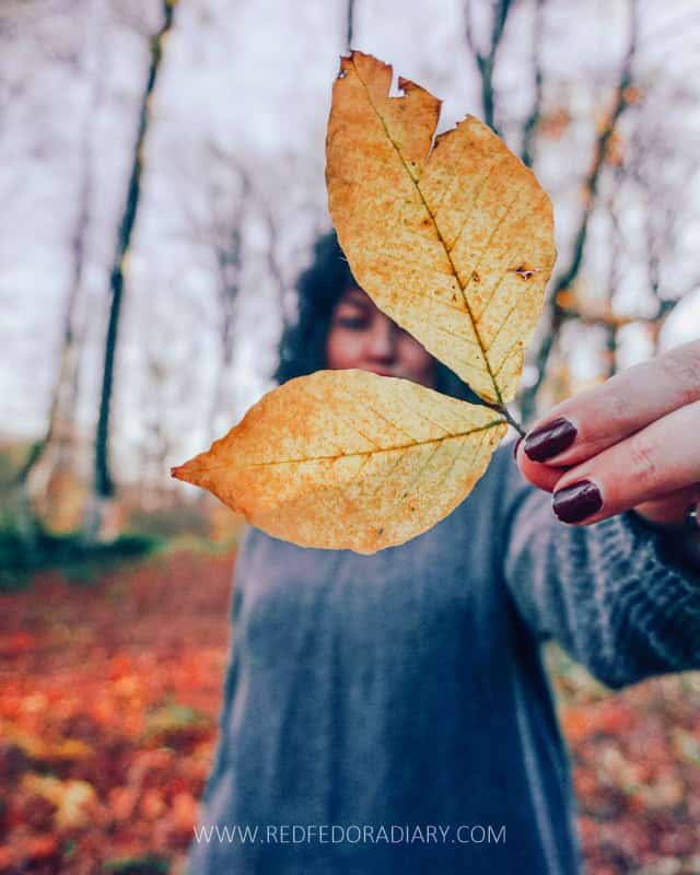 20 Fun Things to Do in Autumn in Tbilisi for 2025 + Tips 38 20 Fun Things to Do in Autumn in Tbilisi for 2025 + Tips 34