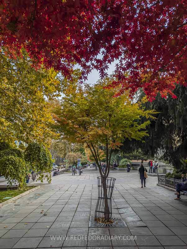 Autumn in Tbilisi: 21 Ways to Experience Fall Like a Local 4 Autumn in Tbilisi: 21 Ways to Experience Fall Like a Local 4