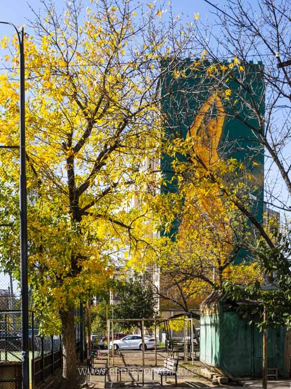 Autumn in Tbilisi: 21 Ways to Experience Fall Like a Local 2 Autumn in Tbilisi: 21 Ways to Experience Fall Like a Local 2