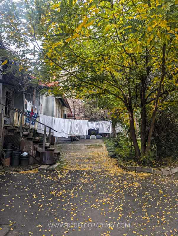 Autumn in Tbilisi: 21 Ways to Experience Fall Like a Local 3 Autumn in Tbilisi: 21 Ways to Experience Fall Like a Local 3