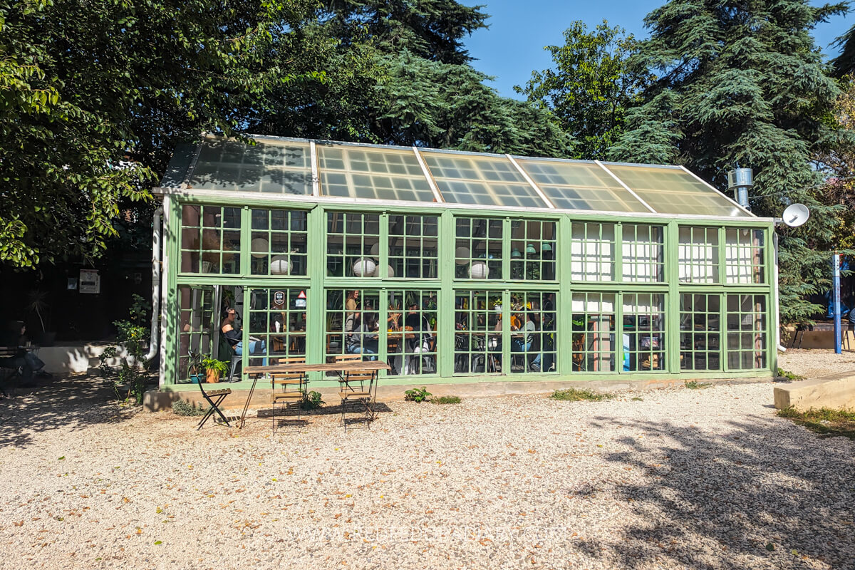 Breakfast in Tbilisi: Cafes, Brunches, & Bakeries for 2025 35 Breakfast in Tbilisi: Cafes, Brunches, & Bakeries for 2025 34