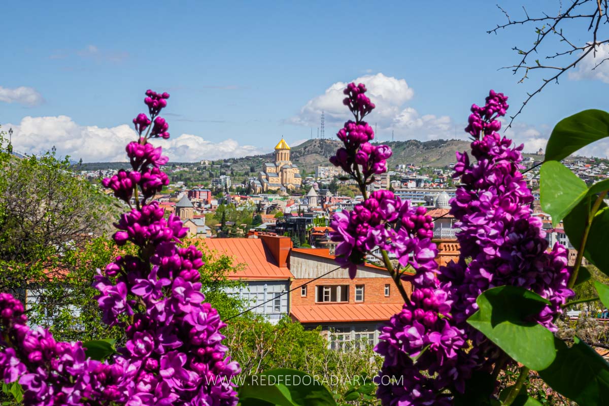26 Ways to Enjoy Tbilisi in Spring Like a Local in 2025 10 26 Ways to Enjoy Tbilisi in Spring Like a Local in 2025 9