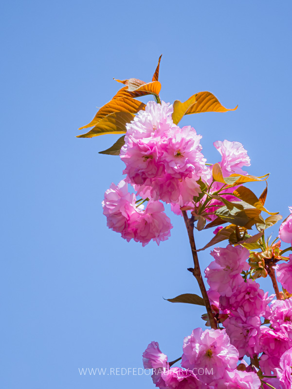 26 Ways to Enjoy Tbilisi in Spring Like a Local in 2025 36 26 Ways to Enjoy Tbilisi in Spring Like a Local in 2025 34