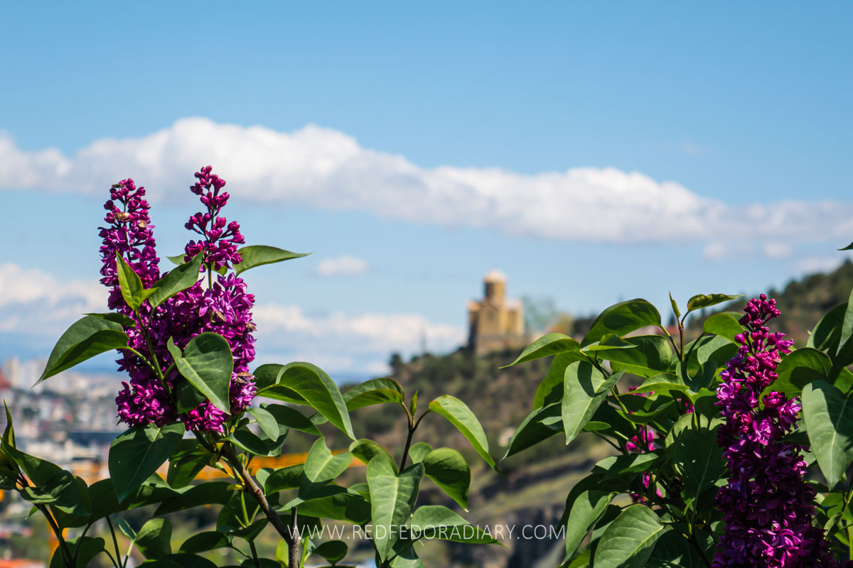 26 Ways to Enjoy Tbilisi in Spring Like a Local in 2025 38 26 Ways to Enjoy Tbilisi in Spring Like a Local in 2025 36